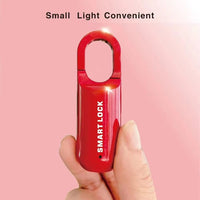 Mini Biometric Fingerprint Padlock